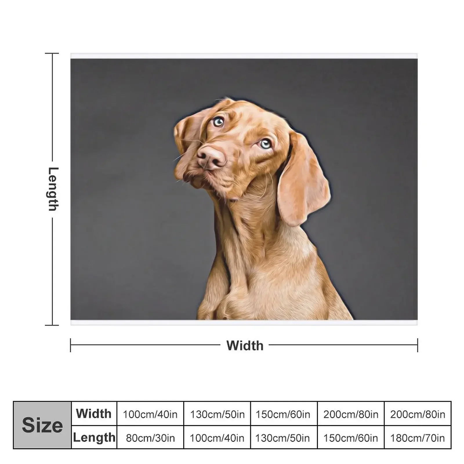 Vizsla Strikes A Pose Throw Blanket blankets and throws for babies Tourist Blankets