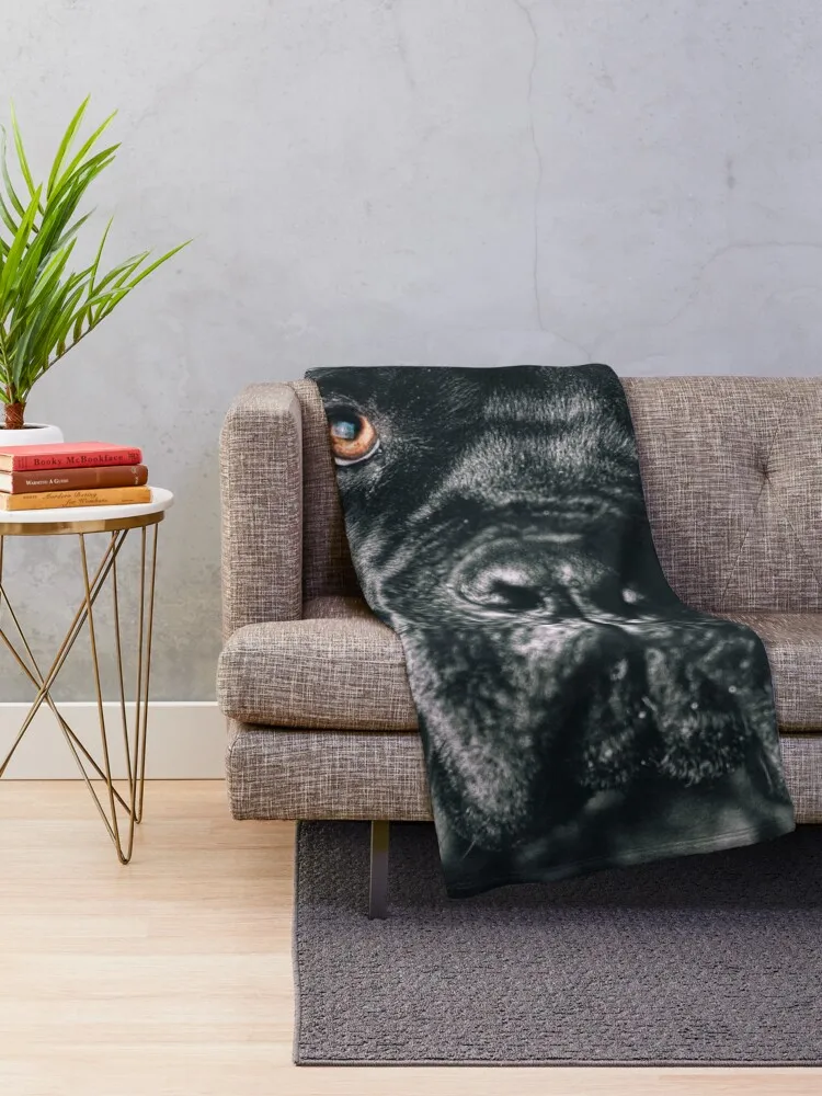 The art of dog Cane Corso - Italian Mastiff Throw Blanket anime Hair Sofas Blankets