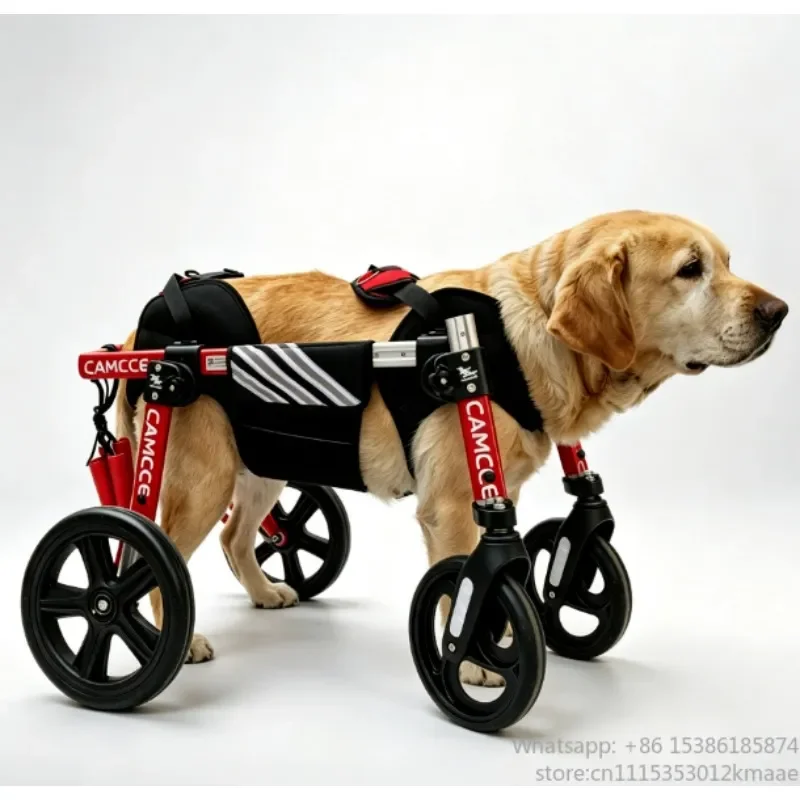 wheelchair Folding Lightweight Dog for Medium–Large Dogs – Aluminum Mobility Aid for Rehabilitation & Walking