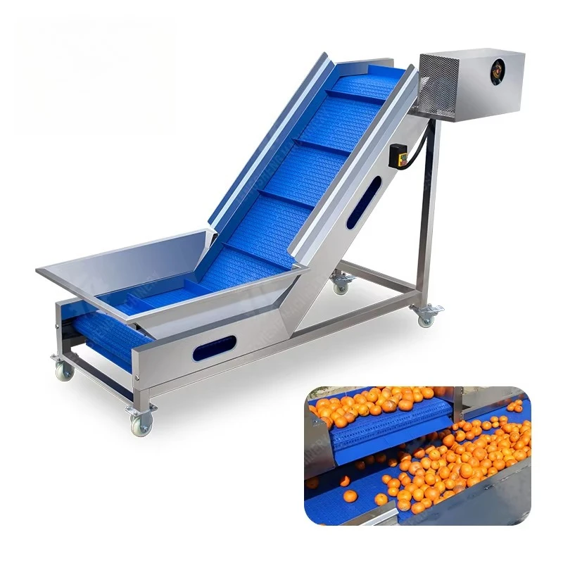 Stainless Steel Automatic Vegetable Fruit Elevator Customized Food Processing Machine TS T30