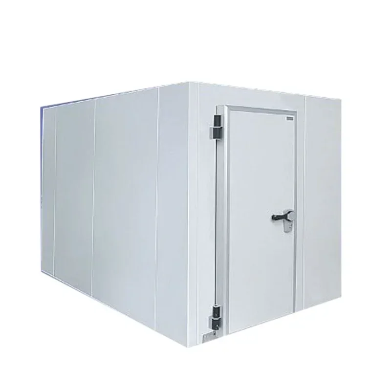 Solar powered industrial cold storage refrigerator freezer