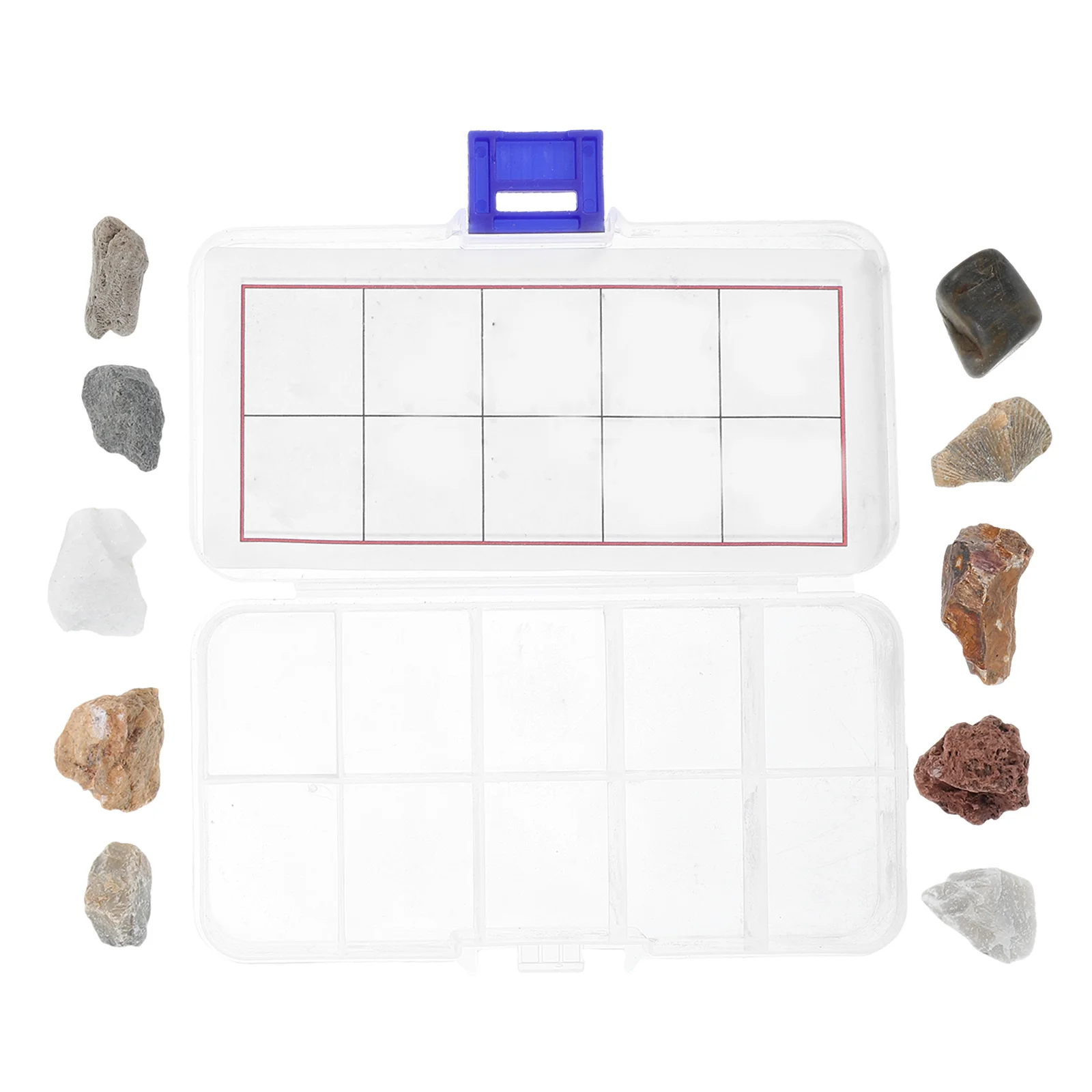 1 set 1 Set Rocks Minerals Specimens Kit Geology Classroom Collection Educational Teaching Tools Storage Box Limestone