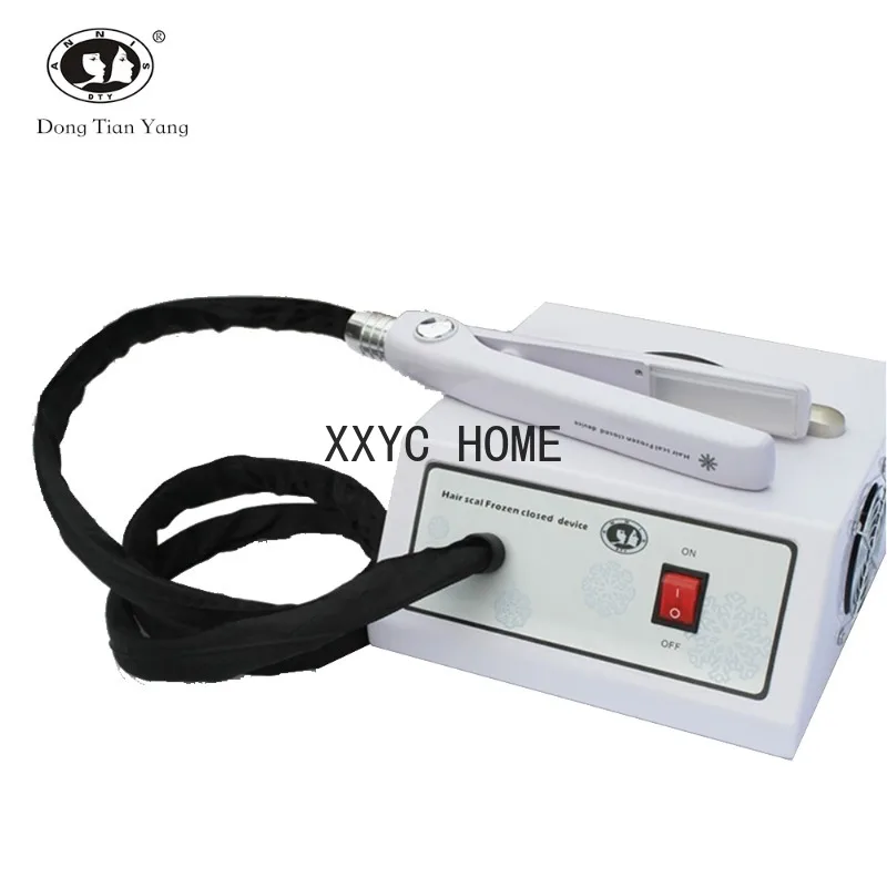 ice cold frozen flat frozen treatment iron cryolipolysis for hair