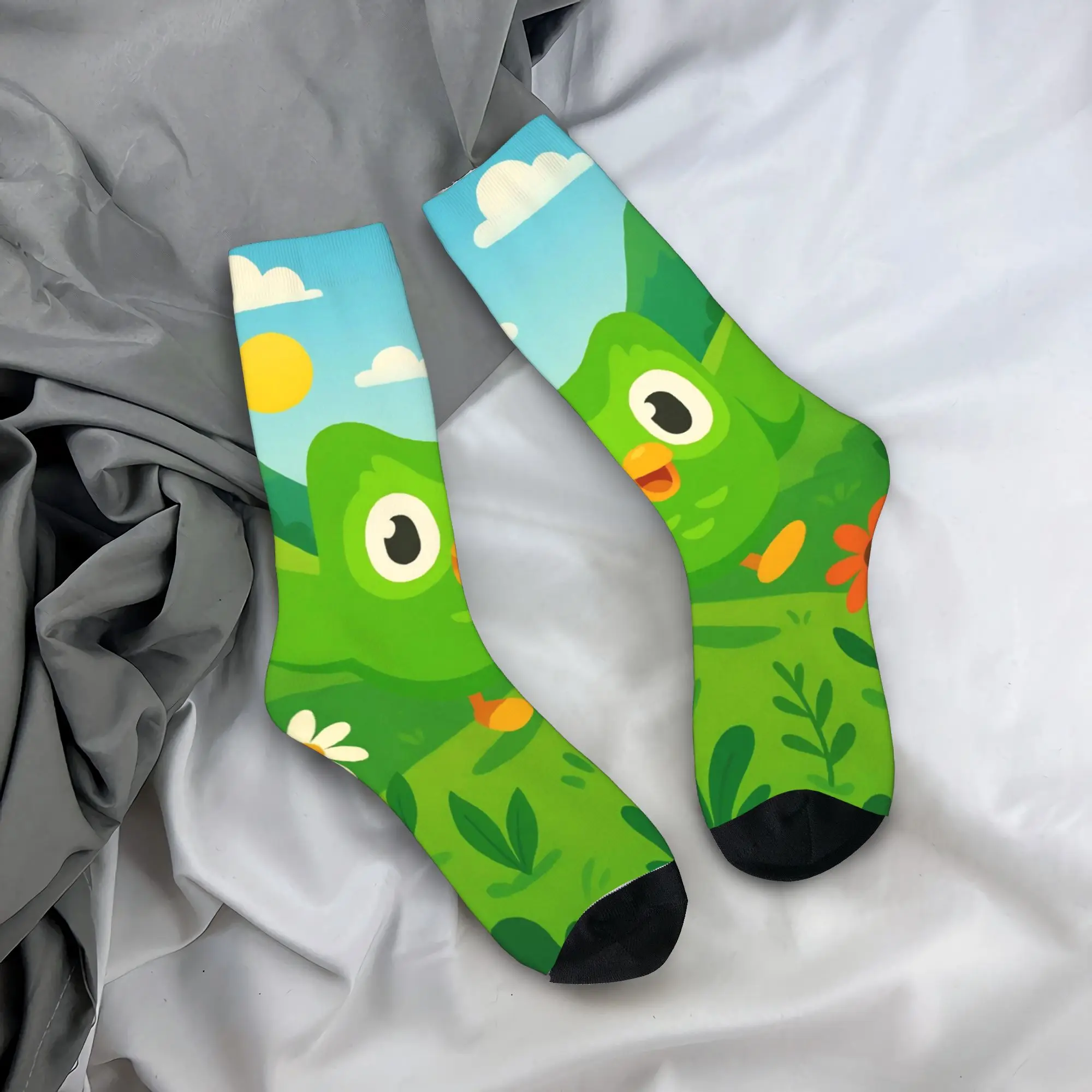 Duolingos Owl Duo S… - image