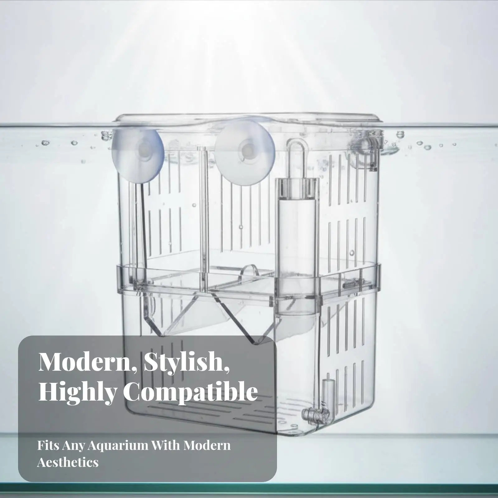 Acrylic Aquarium Accessory for Fish Breeding Case Hatchery with Double Installation Suction Cups and Glass Mount for Fry Care