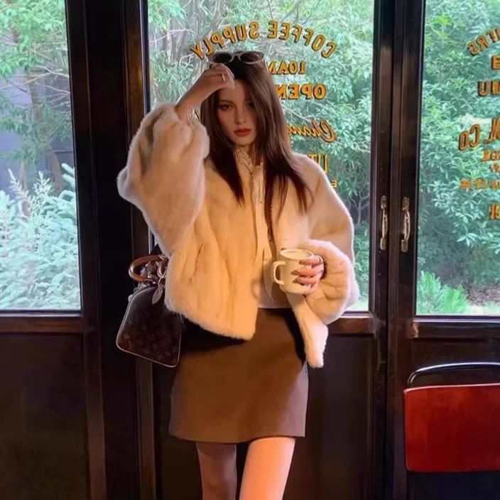 

Soft And Smooth Mink Fur Coat Women's V-Ne Winter New Sle Comfortable Long Sve Commute Sle No Brand Registered Trade...