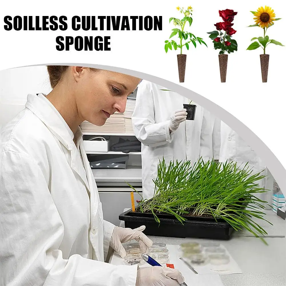 50Pcs Seed Grow Sponges Replacement Root Growth Pods Hydroponic Seedling Starter Plugs For AeroGarden Indoor Garden Plantin I5J5