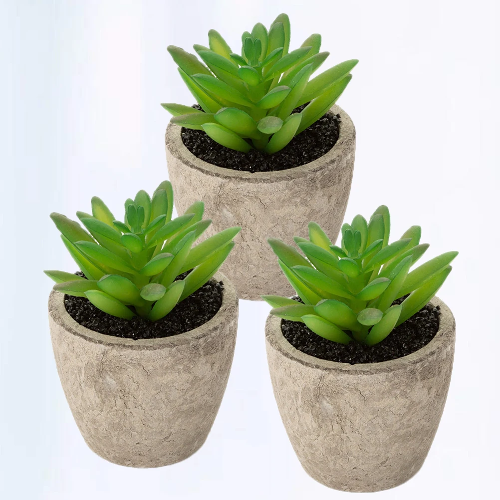 

3 Pcs Simulated Succulent Plants nament Basins for Home Office Decor Plastic Lightweight Portable Long Term Use Eco