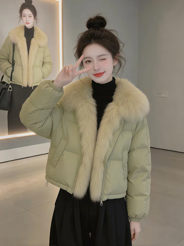 

Женская утепленная хлопковая куртка с пышным воротником на молнии, короткий рукав, зимняя теплая, утолщенная, в корейском стиле, свободный крой