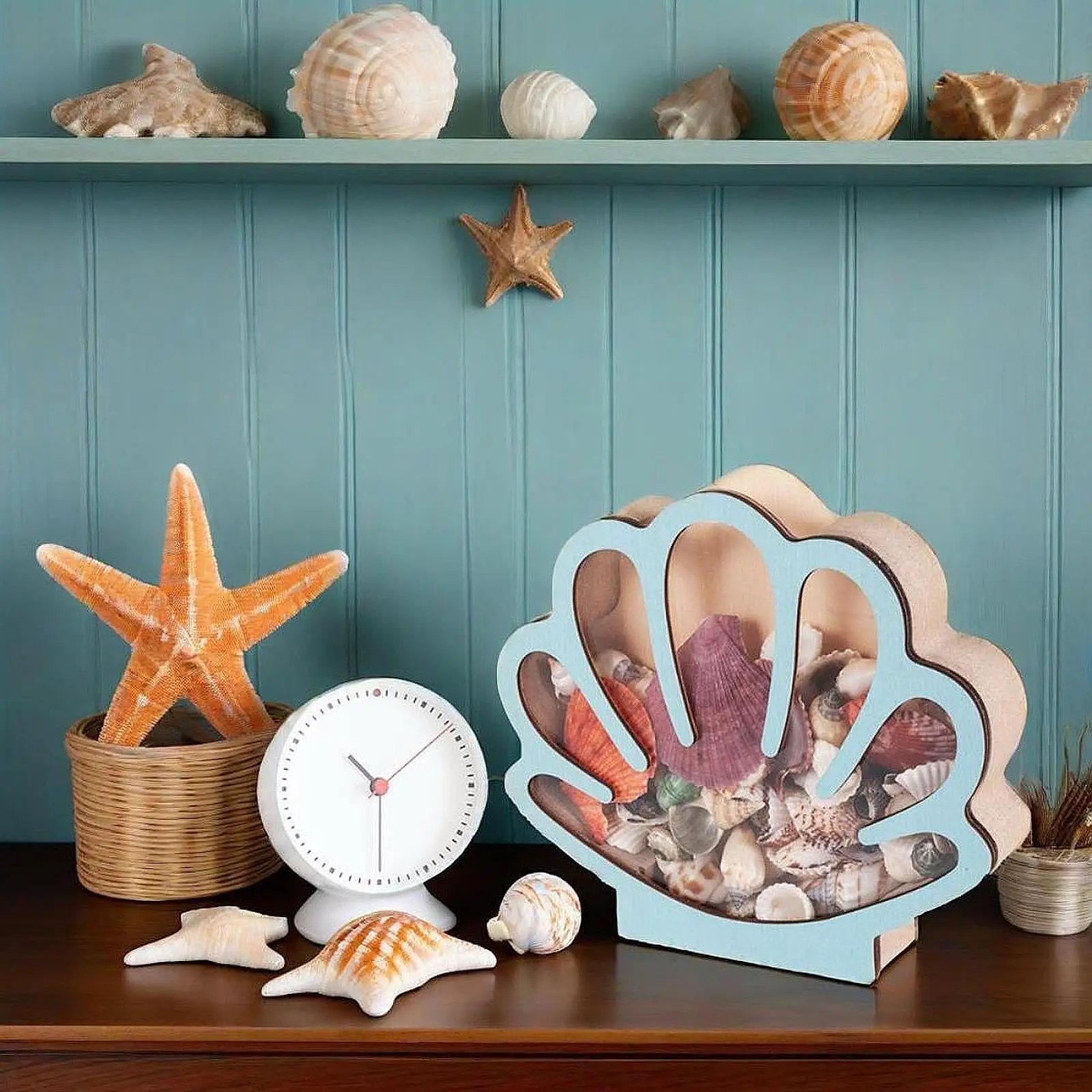 

Shell Display Box Versatile Collector Money Jar Decorative Seashell Storage Organizer Acrylic Storage Case Ocean Theme Decor Box