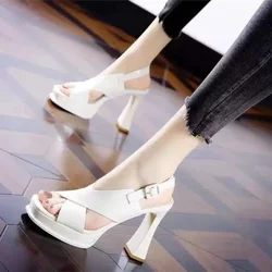 2024 New Spring and Autumn Fashion Women's High Heels Sole Buckle Thick Heel Shallow Mouth Sexy Back  Elevated Shoes