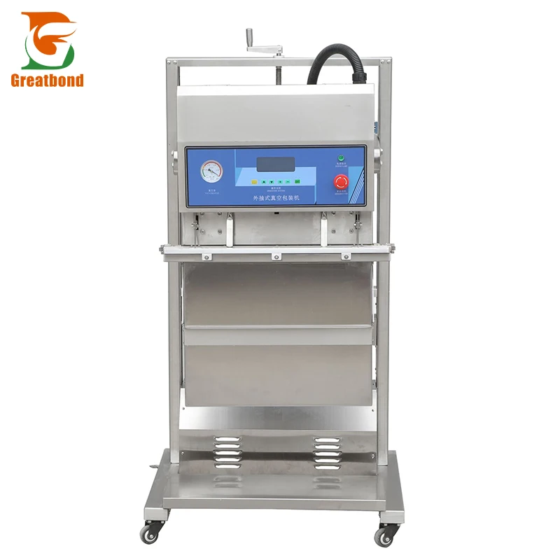 Cheap Price Dual Purpose Pumping And Inflating External Vacuum Packaging Machine Electronic Food Vacuum Sealer With Nitroge Sale
