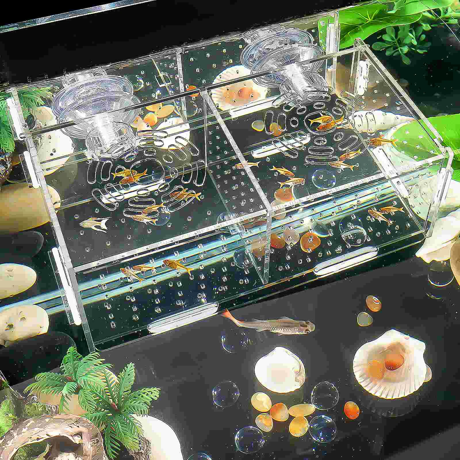 Transparent Fish Tank Breeding Isolation Box Aquarium Incubator Hatching Boxes Multifunctional Acrylic Fish Tank Holder