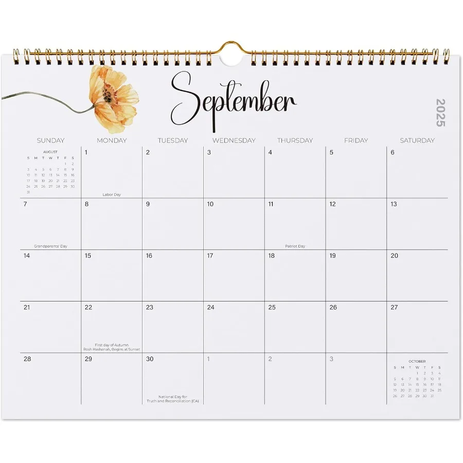 

Настенный календарь на 20252026. Настенный календарь на 16 месяцев. работают от сентября. 2025 года до декабря. Планировщик домашнего обучения на 2026 года для Famialy и школы. Wirebou.