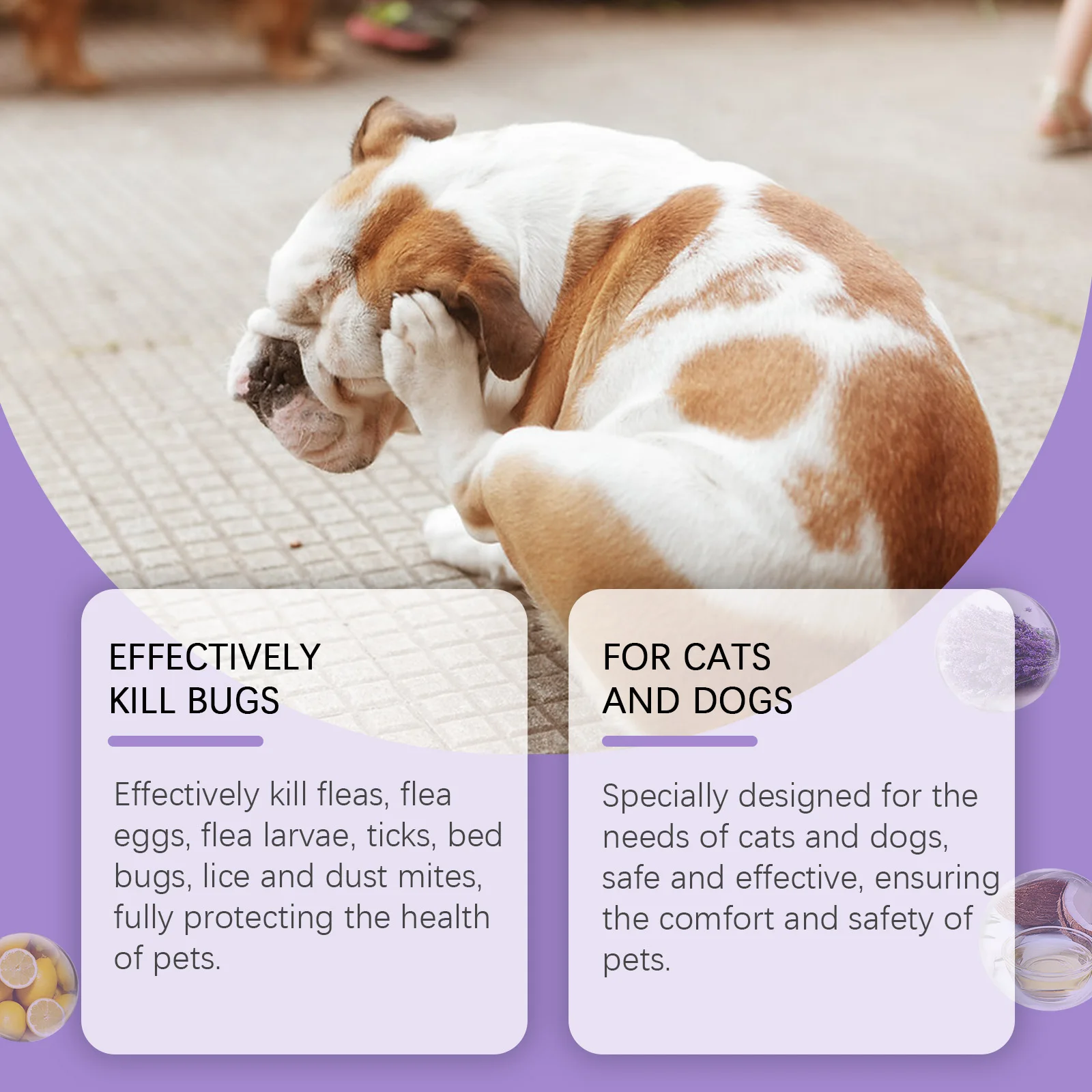 Pet External Deworming Spray - Gentle, Cleansing, Effective Against Mites and Fleas, Safe and Soothing for Cats and Dogs