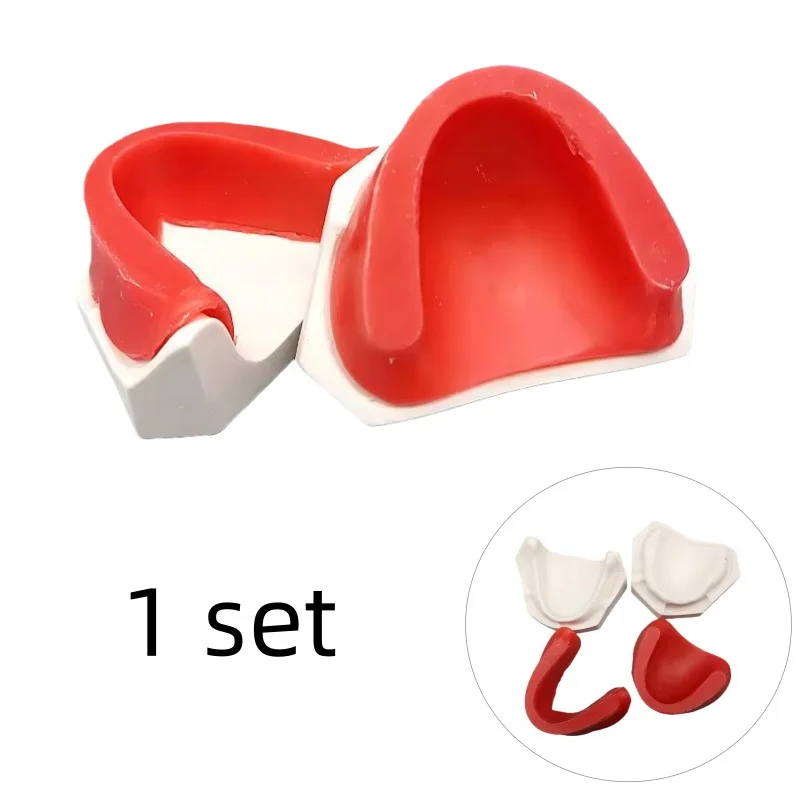 

1 Set Dental Waxless Teaching Model Teething Exercises Wax Embankment Dental Cast Denture Bite Training Dental Teaching Material