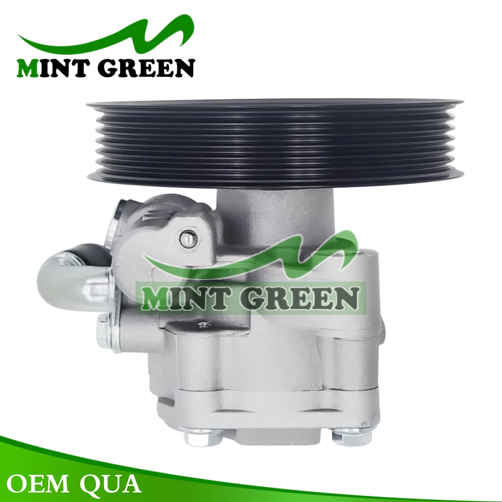 

POWER STEERING PUMP For Chevrolet Equinox Traverse GMC Acadia Saturn Outlook Vue Pontiac 12589753 491007 1424301 15285501