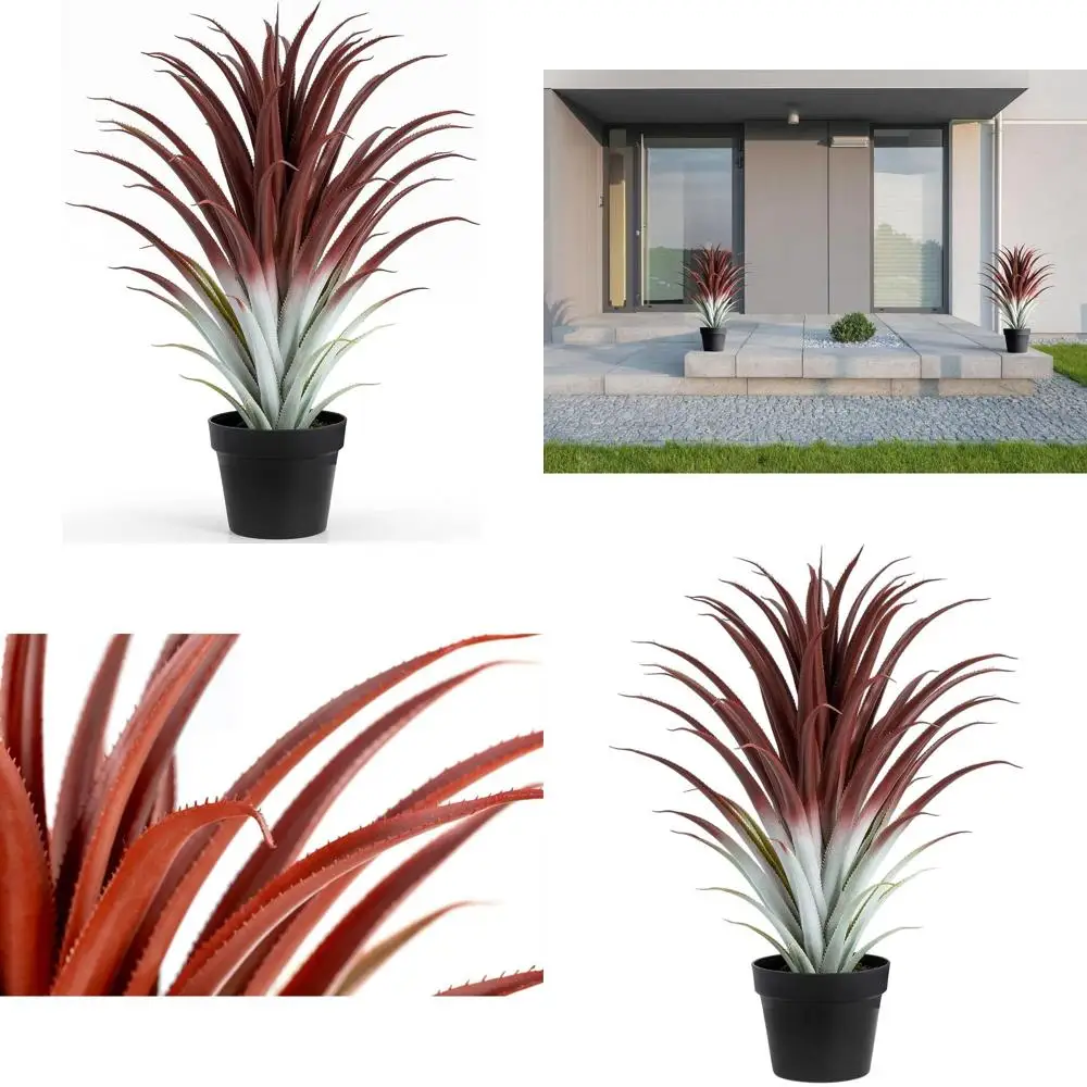 

26 Tall Lifelike Red Aloe Vera Plant in Sleek Black Pot
