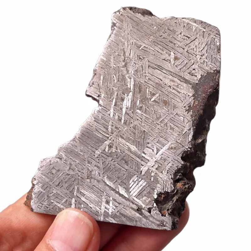 Muonionalusta Iron Meteorite Irregular Slice Polished Widmanstatten Pattern Space Rock Specimen Collection Decor TA832
