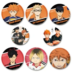 Shoyo Hinata Cartoon Pins Anime Haikyuu!! Badge Manga Q-version Figures Icons Pin Backpack Decoration Brooche for Bag Accessorie