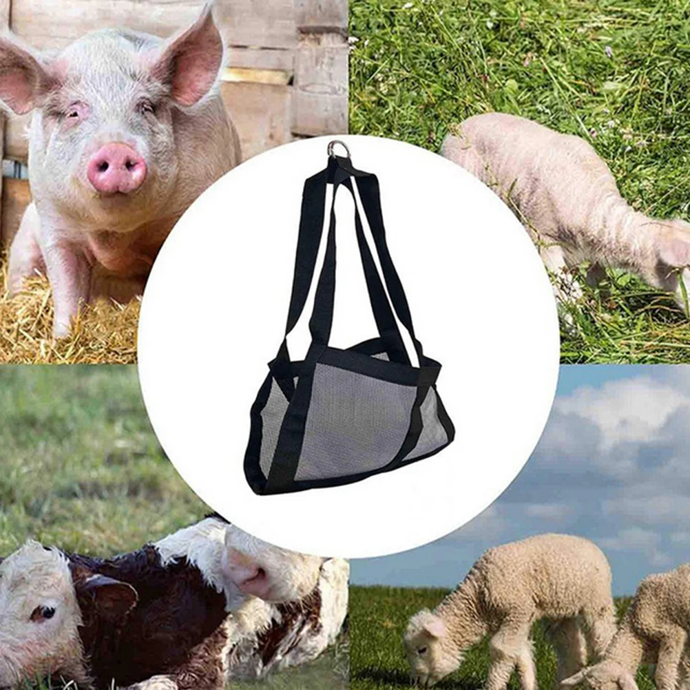 

Pet Weighing Sling Breathable Mesh Design Durable Nylon Puppy Goat Calf Lifting Harness Small Animal Weigh Scale Supply