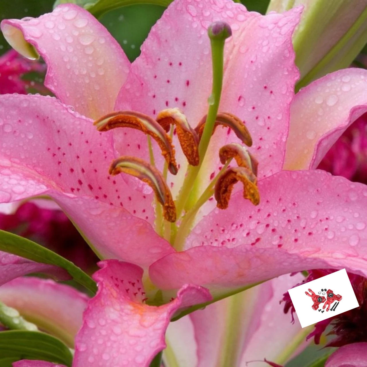 

GPM 7075 Alloy Rear Hub with Big Bearing for ARRMA Kraton Outcast 4S BLX V1/V2 1/8 Scale Mojave AR330522 - Racing Upgrade Part