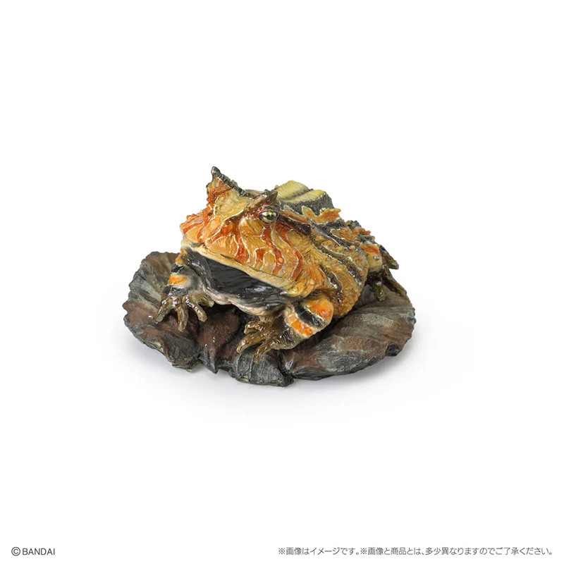 Figuras de Animales Anfibios Realistas de Bandai Namco, Originales, en Existencia, Vol.2, Juguetes de Cápsula Gachapon, Modelo de Salamandra con Cuernos