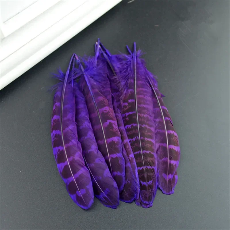 20 Stück natürliche Fasanfedern für Schmuckherstellung, Bastelarbeiten, 10–15 cm, Federverzierung, Hüte, Dekoration, Plumas, Karneval, Huhn – Detail 10
