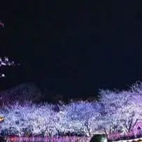 High-Definition Tou…