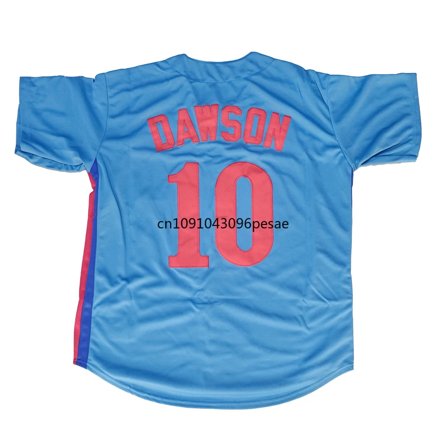 Gary Carter Jersey Canada Montreal Retro Baseball Jerseys 10 Andre Dawson Jersey 51 Randy Johnson Jersey All Stitched Us M-3XL