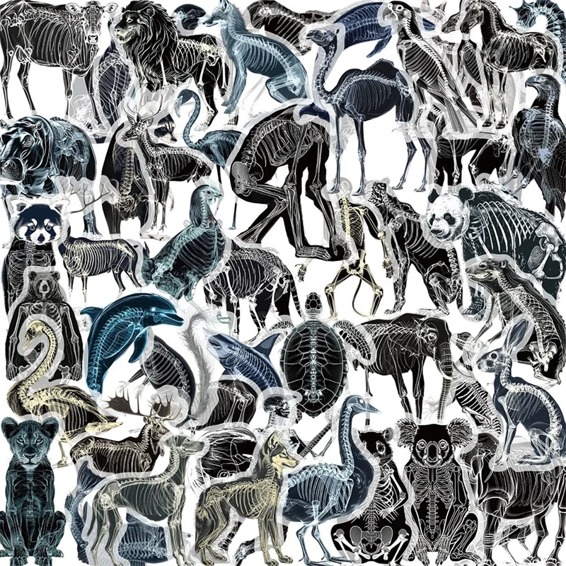 

50PCS Animal Perspective PET Sticker Aesthetic Decoration Scrapbooking Stationery DIY Hand Accounting Tools Supplies for Kids