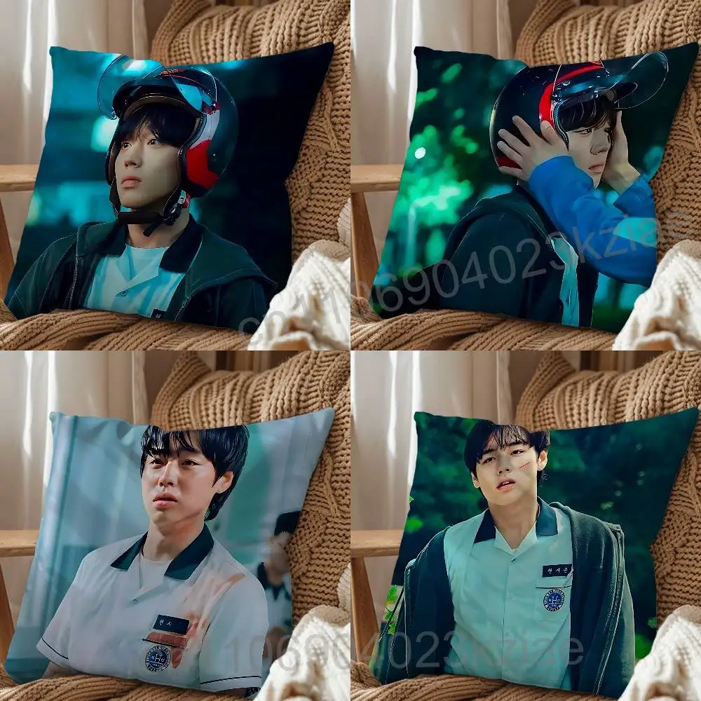 

cool Yeon Si-eun Weak Hero Park Jihoon Pillow Case Office Cushions Suitable For Sofa Car Bedroom Decorative Cushion Cover