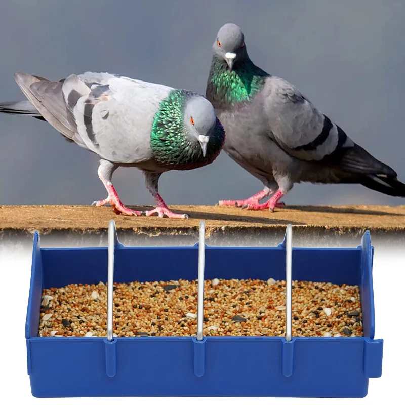 3pcs Pigeon Chicken Quail Parrot Bird Peacock Spliceable Poultry Feeder With Pigeons Feeding Trough Dove Supplies