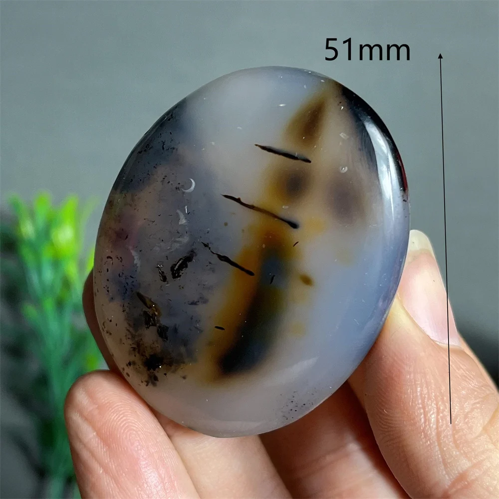 Crystal Natural Twig tree branch Agate Palm Stone Quartz Mineral Spiritual Home Decoration Healing Energy Reiki Gemstones