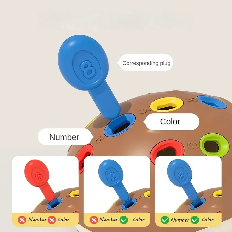 Montessori Egel Biomimetisch Speelgoed Baby Focus Training Puzzel Speelgoed Fijne Motor Sensorische Spelling Nummer Speelgoed Kinderen Verjaardagscadeau