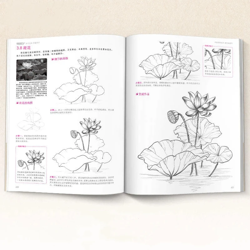 Sketching Techniques Tutorial Book Zero Basic Intro Copy Drawing Pencil Hand-painted Skills for Flowers Animals Scenery Figures