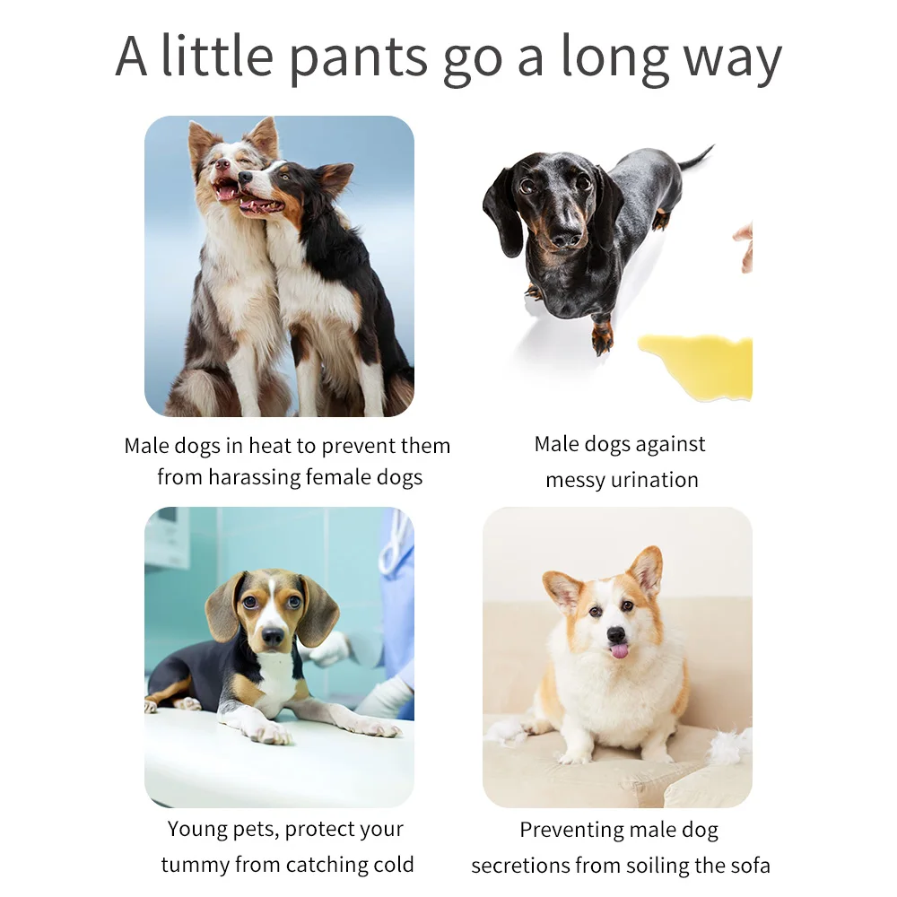 BIAI 1PC Reusable Male Dog Diaper Washable Male Dog Diaper Breathable Belly Bands for Male Dogs Wraps Fashion Dog Diaper Doggie