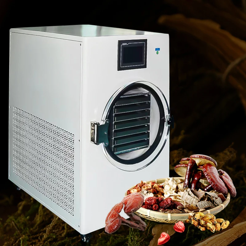 

Small Home Use Food Drying Hine Lyophilizer - And Freeze Dryer With Vacuum Pump