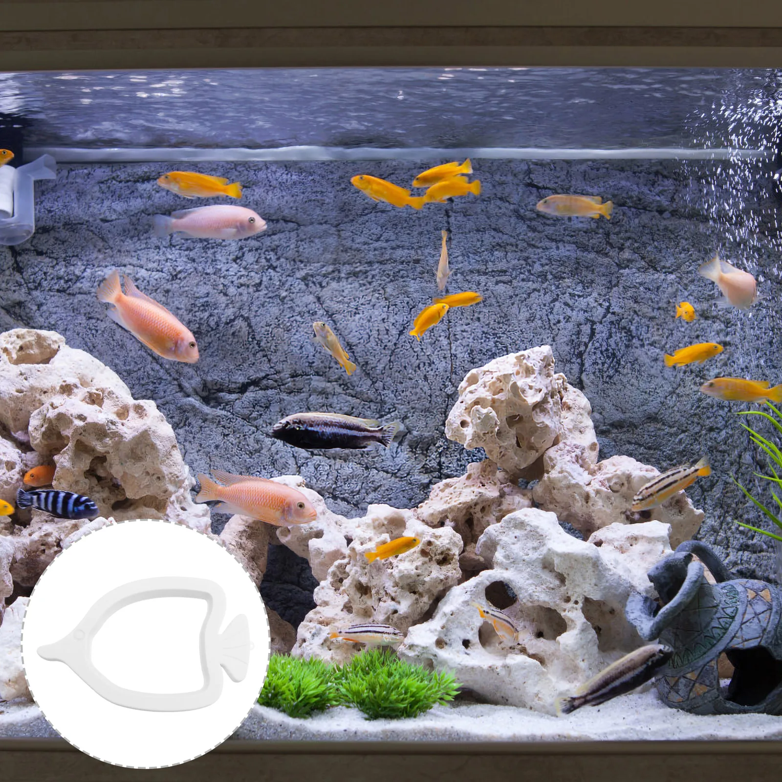 

2Pcs Fish Food Feeding Ring Movable Feeder Easy Clean High Buoyancy Fish Tank Supplies Practical Feeding Circle
