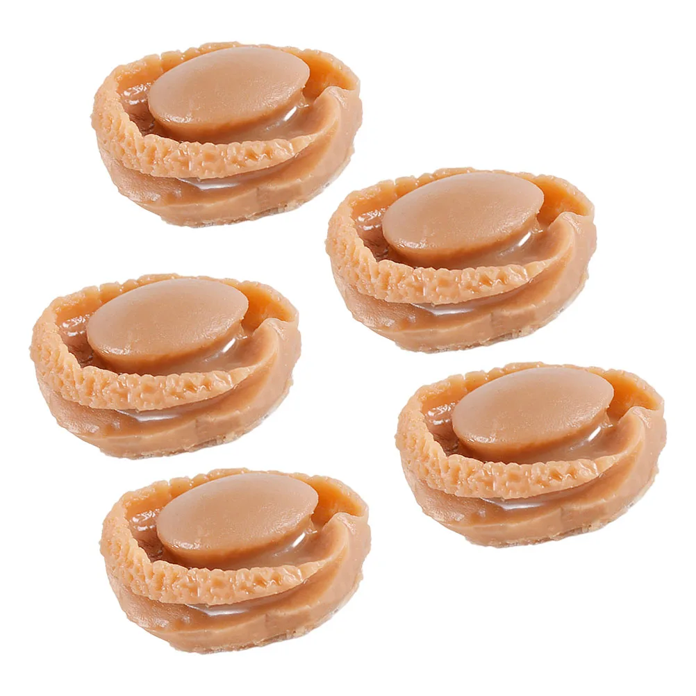 

5Pcs Miniature Abalone Food Prop Realistic Design Bright Color Versatile Use Micro Landscape Decoration Miniature Food