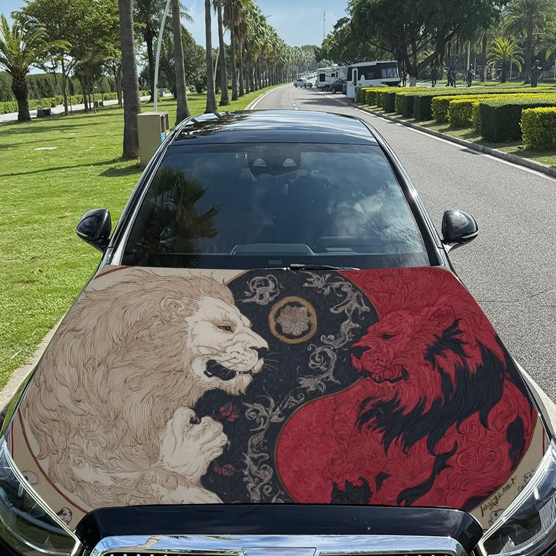 Tai Chi Lion Diagra… - image