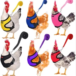 Fashion Chicken Vest Hen Belt Pet Harness Matching Collars Bow Comfortable Leads Breathable Poultry Supplies