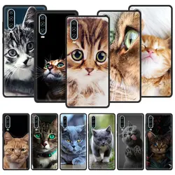 Cartoon Cute Cats Phone Case For Huawei P30 Lite P50 Pro P20 P40 Lite E P Smart Z 2021 Y6 Y7 Y9 2019 Y6p Y9s Y7a Silicone Cover