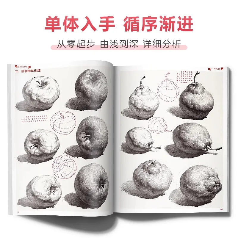 Drawing Foundations: Still Life & Geometric Shape Sketching Book for Beginners with Step-by-Step Tutorials