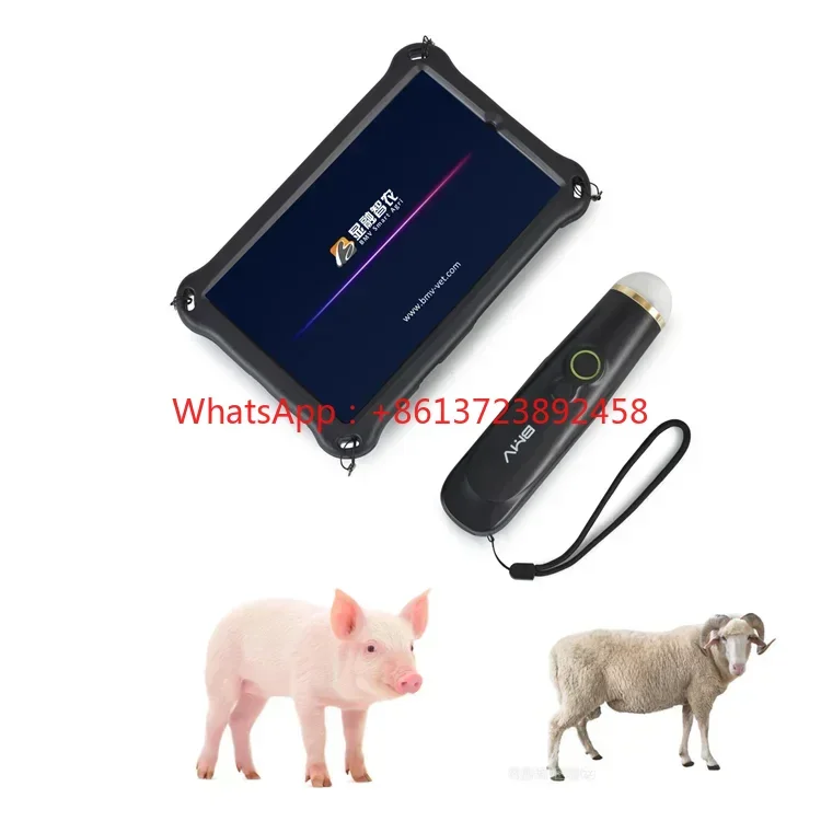 

Good Quality Pig Sheep Backfat check Ultrasound Scanner Veterinary Ultrasound wireless ultrasound veterinary portable