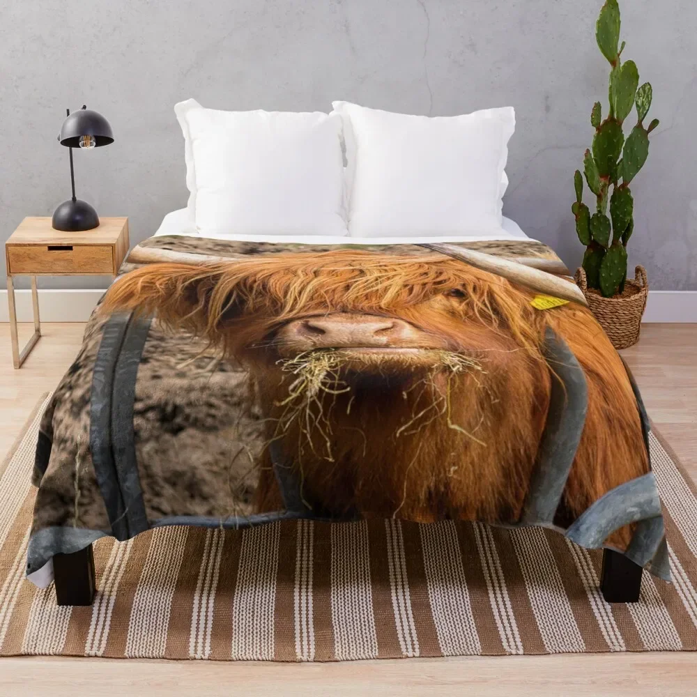 Highland Cattle Flannel Throw Blanket Cow Wild Animals Pattern Farm Theme Lightweight Super Soft Blanket for Bedroom Sofa Couch