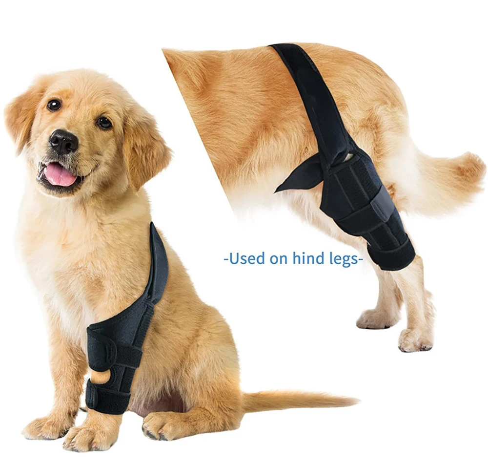 Dog Knee Brace Pet Knee Pads For Support With Cruciate Ligament Injury Adjustable Legs Dog Protector Support Protects Bandage