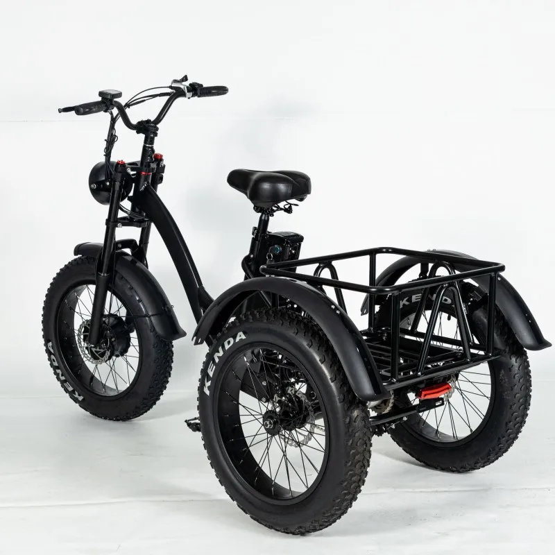 20 Inch Electric Trike adults 750W Motor Fat Tire 3 Wheel tricycle bike electro Three Wheels Adult Cargo Electric Bike