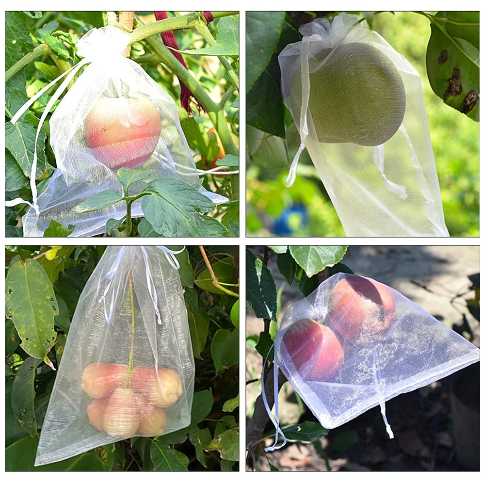 Sacchetti di protezione per frutta d'uva di grandi dimensioni da 100 pezzi sacchetto di rete da giardino con coulisse sacchetto di rete per fragole di verdure Anti-uccello agricolo