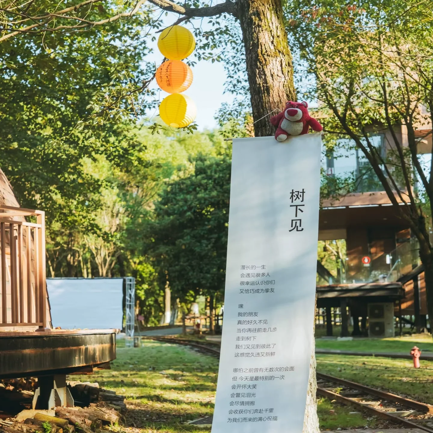 Customized Wedding Reception Area Background Cloth Tree Hanging Outdoor Proposal